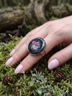 Forêt Enchantée